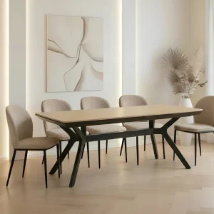 שולחן דגם TITANIUM